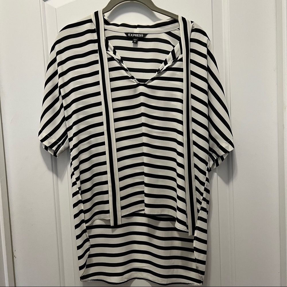 Express Striped Blouse